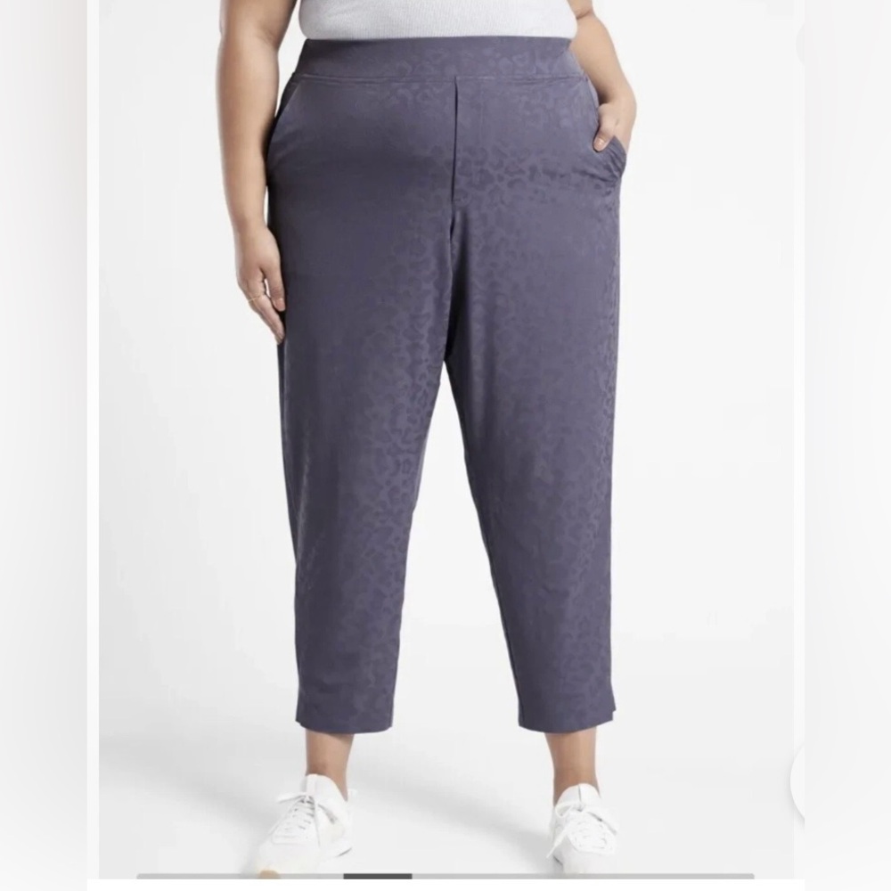 Stylish Athleta Brooklyn Textured Brooklyn Ankle Pants- size 20